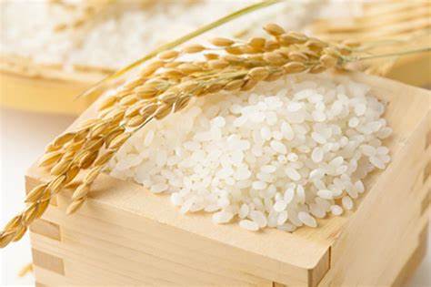 Chiến lược xuất khẩu gạo Việt Nam: Tăng giá trị, giảm khối lượng.